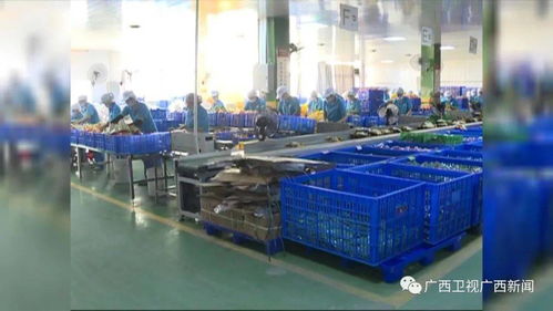 雙十一掀起年底消費(fèi)熱潮，食品銷(xiāo)售表現(xiàn)亮眼