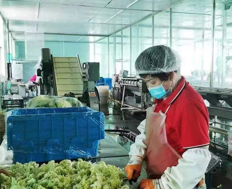 中國人壽財險推出預(yù)制菜專屬定制服務(wù)——以食品安全護航產(chǎn)業(yè)高質(zhì)量發(fā)展